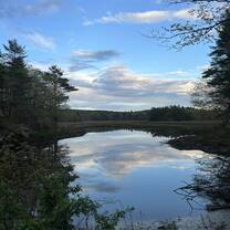 Lake view