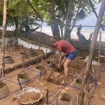 hatchery upkeep
