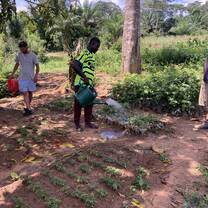 Tree nursery