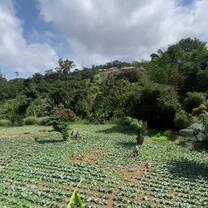 Farm