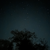Watching the night sky with friends