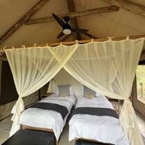 lodging