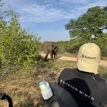 Elephant!