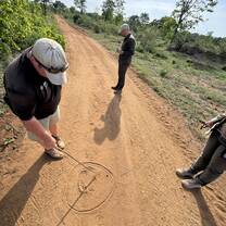 Animal tracking