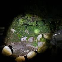Night Hike