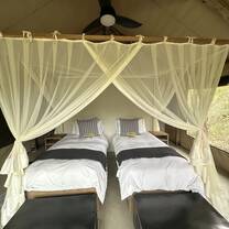 Beds