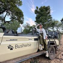 Bushwise game drive vehicle