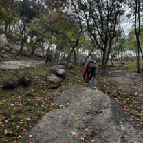 Taking a "shortcut" in Zhongshan Park