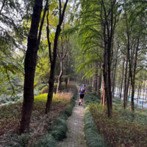 A scene from a run