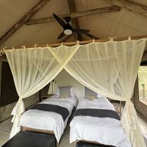 lodging