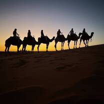 Camel riding in the Sahara Desert