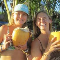 fresh coconuts!