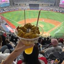 Sky Dome Baseball Game