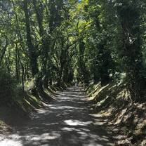 The landscapes we walked through 