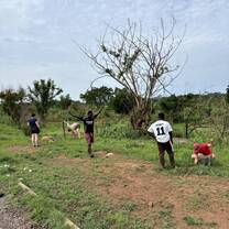 Reforestation 