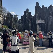 Stone Forest