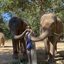 Elephant kiss