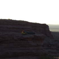 Camping in New Mexico 