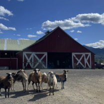 Ranch filming trip in Oregon