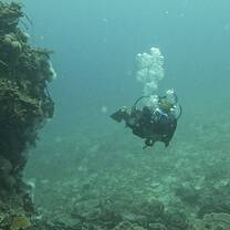 Diving
