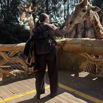 Con le giraffe allo Zoo di Kunming 