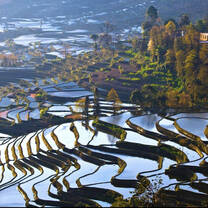 Terraced fields
