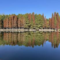 Haihong park