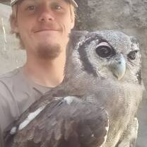 With Phil the Verreaux's Eagle Owl