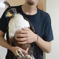 Me holding an African Fish Eagle