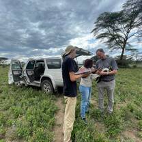 Augur trapping and tagging