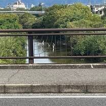 Every morning when walking to school I had to cross a river and got to see tons of beautiful animals from fish to cranes