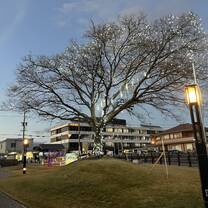 Town illumination sets the festive tone