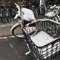 Frozen bicycle during the winter  season 