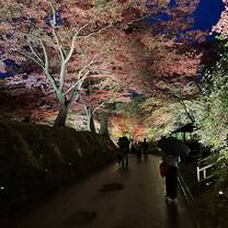 Fall Leave illumination in Hiraizumi