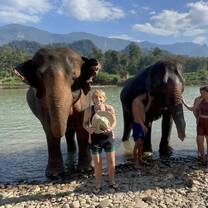 A trip to the Elephant Sanctuary 