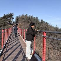 Suspension Bridge near DMZ