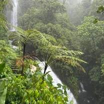 Waterfall at Parque La Paz