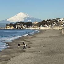 Morning walks before going to school (Kamakura high school).