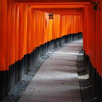 Torii