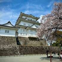 Odawara Castle in Spring