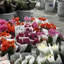 Flower market
