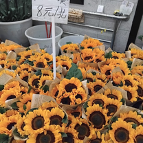 sunflowers at flower market