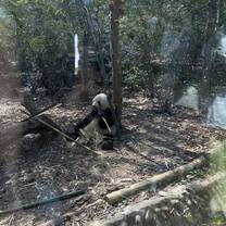 parco dei panda