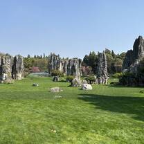 Excursion to the Stone Forest