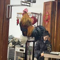 Heshun Old Town Entertainment