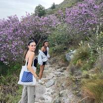 Hiking in Cecilia Forest