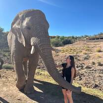 Walking with the big giants