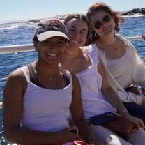 Seal Cruise