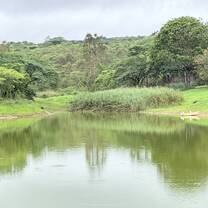 Twala backyard