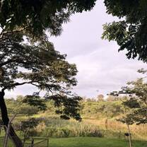 Twala backyard 